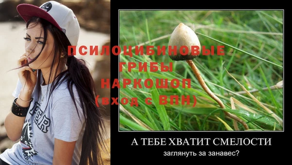 ALPHA-PVP Армянск