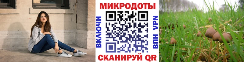 наркошоп  маркетплейс клад  Псилоцибиновые грибы ЛСД  Волгоград  omg зеркало 